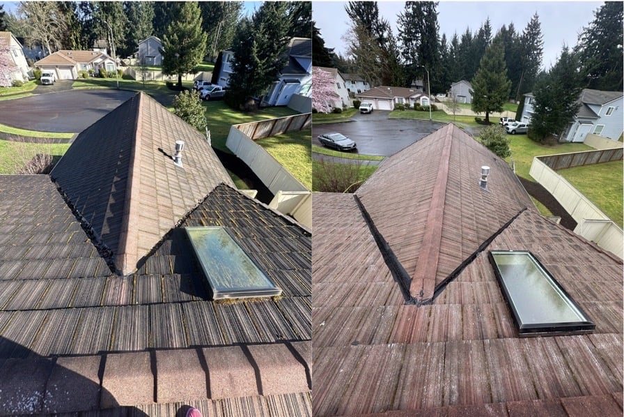 Roof Cleaning